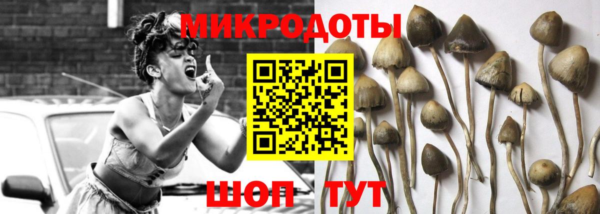 Галлюциногенные грибы MAGIC MUSHROOMS  Вход с VPN  Азнакаево  купить наркотик  Псилоцибиновые грибы GOLDEN TEACHER 
